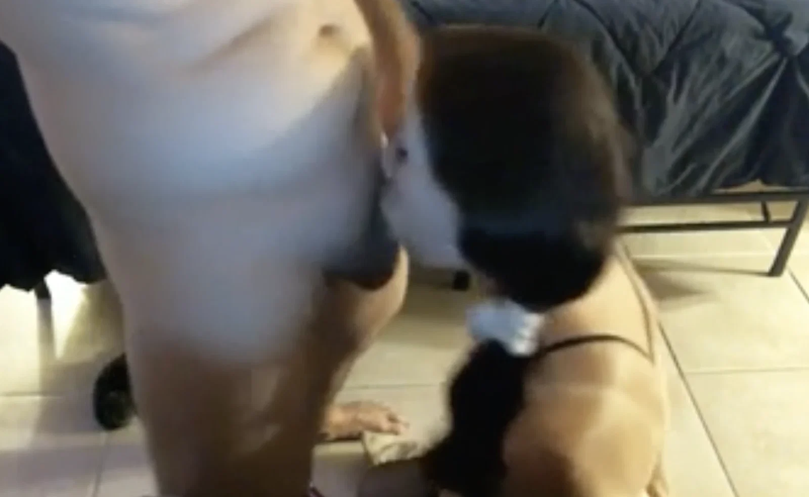 Homemade Porn -  no hands messy sloppy deepthroat